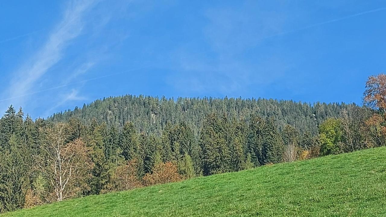 Appartements Zellner Alpbach Exterior photo